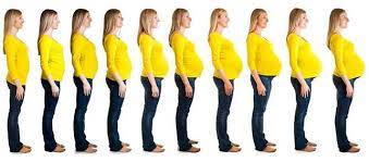 Verhütungsrichtlinien für bariatrische Chirurgie schwwanger schwangerschaft